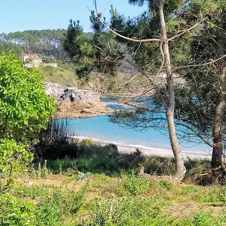 Teresa Apartamento *